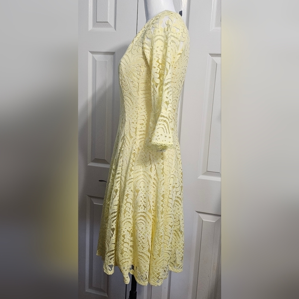 Anthropologie Rabbit  Rabbit Rabbit Lace Fit Flare Overlay Cottagecore Dress S - Picture 3 of 8